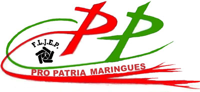 logo-pro-patria